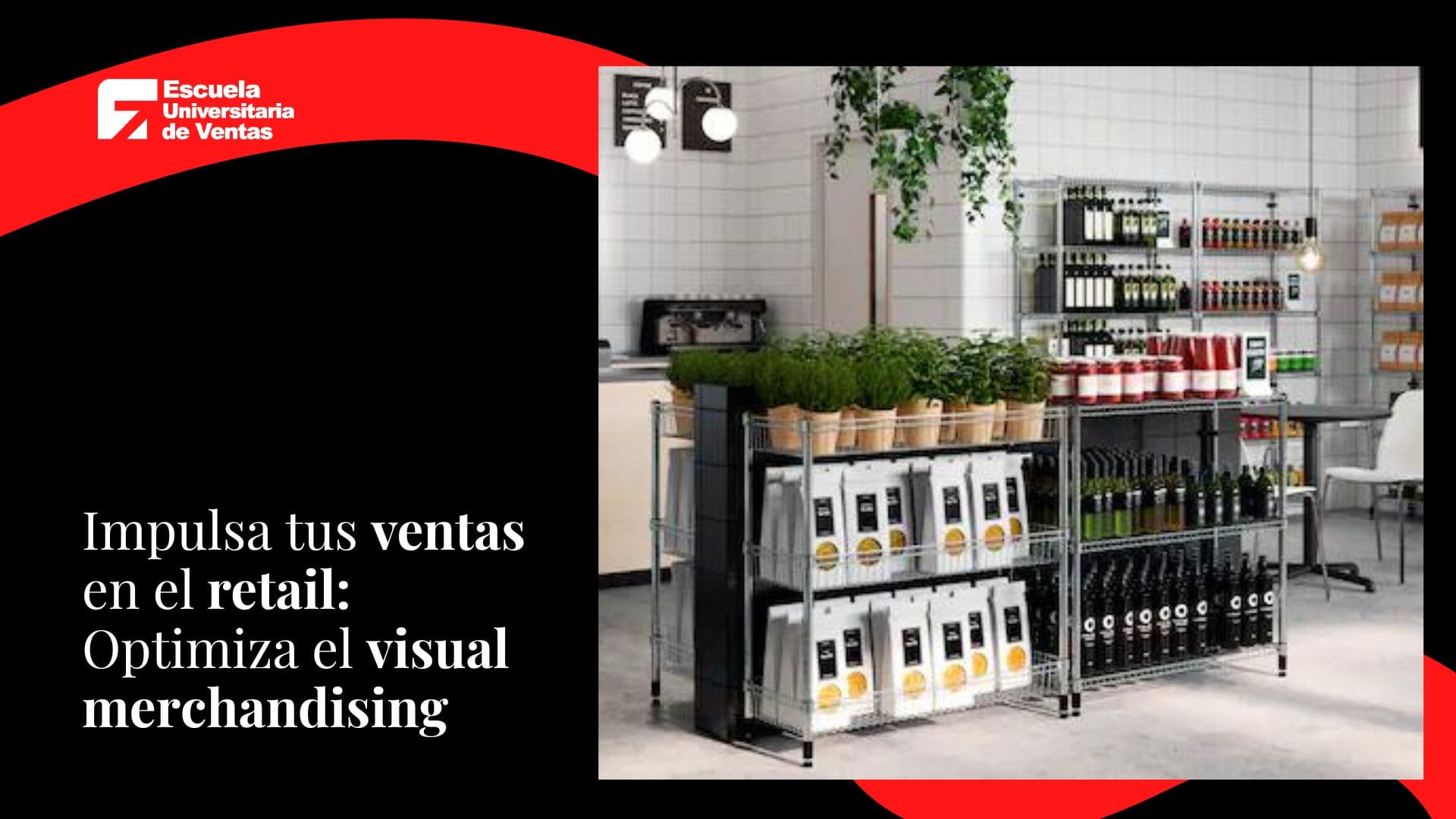 Impulsa tus ventas en el retail- Optimiza el visual merchandising